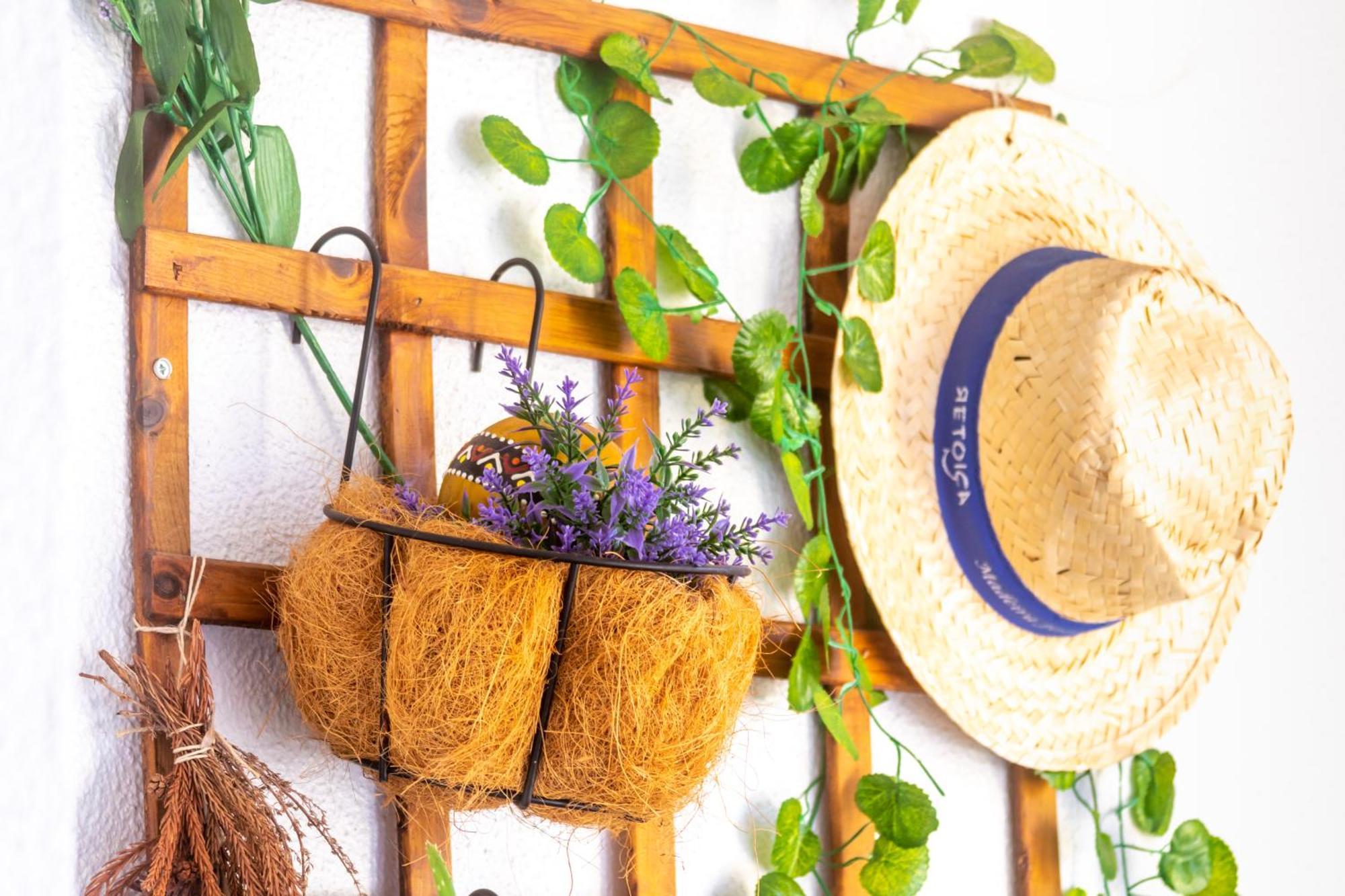 Maria Casa Branca By Alma Holiday Rentals Φουνκάλ Εξωτερικό φωτογραφία